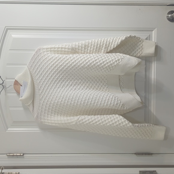 Topshop Sweaters - Top shop Turtleneck Crop Sweater NWT